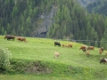 DSC00751